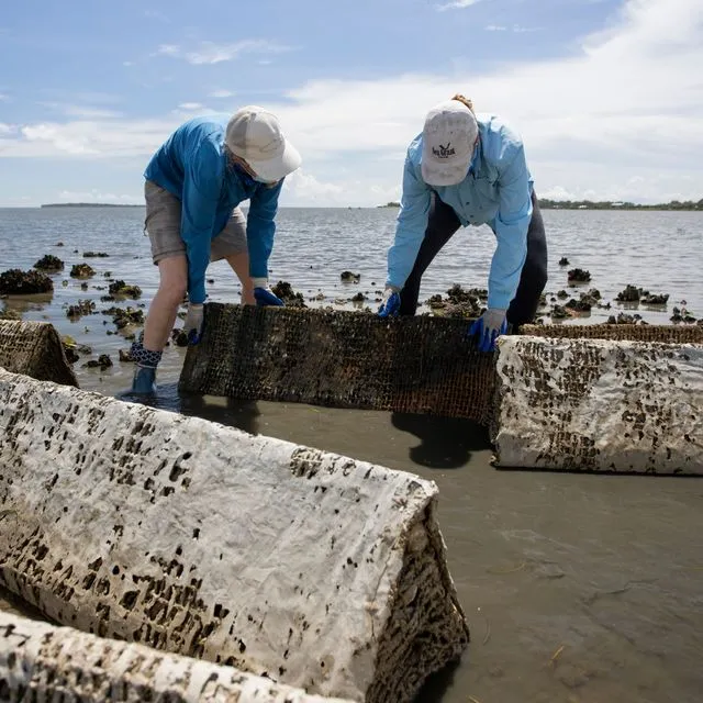 thumbnail for publication: Living Shoreline Ecosystem Service Valuation Tool